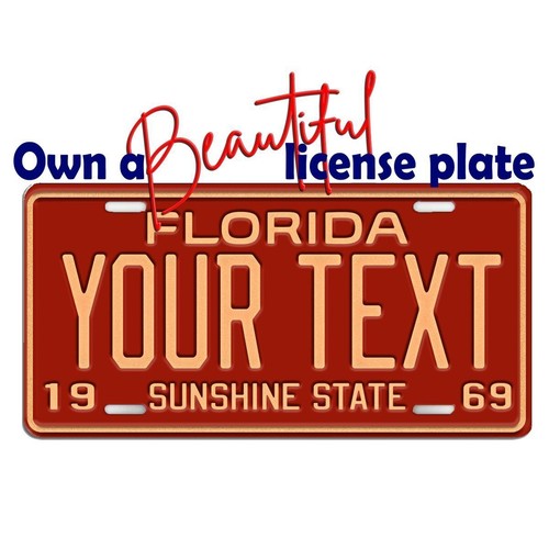 1965 florida sunshine - 1965, state