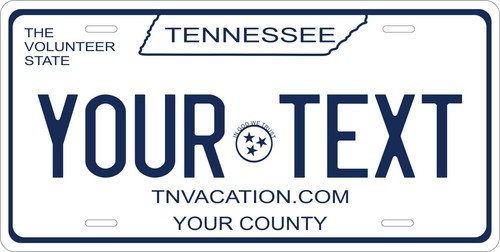 Replica white license plate - license,